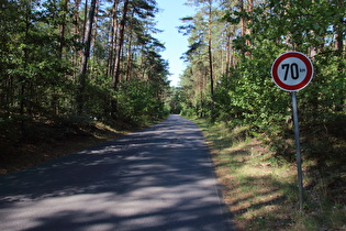 zwischen Wieckenberg und Wietze, Blick nach Norden …