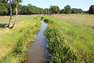 die Wietze in Wietze, Blick flussaufwärts …