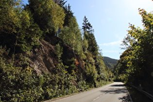 zwischen Oker und Romkerhalle, Schutznetze an der Felswand