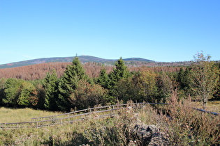 Harz (Torfhaus)