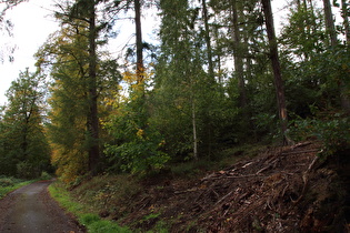 Anstieg zum Kammweg weit unten, Blick bergaauf …