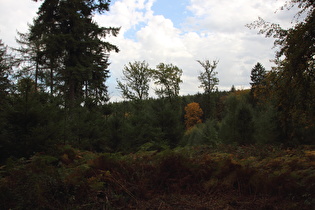 etwas weiter oben, Blick nach Süden