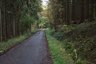 oberhalb des ersten Steilstücks, Blick bergab nach Osten