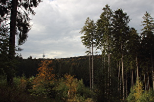 Blick zum Fernmeldeturm auf dem Großen Hals