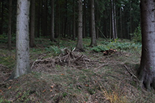 Blick bergauf nach Süden