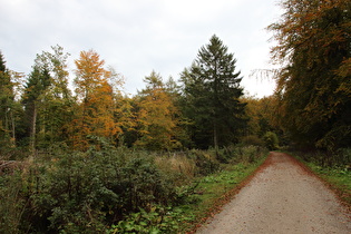 Blick nach Südosten auf den Reinekensiekskopf