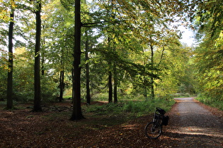 auf dem Reinekensiekskopf, Blick nach Nordwesten