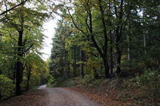Kammweg zwischen Nienstedter Pass und Hohe Warte, Steilstück, Blick bergab