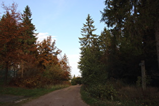 Hohe Warte, Blick nach Nordosten