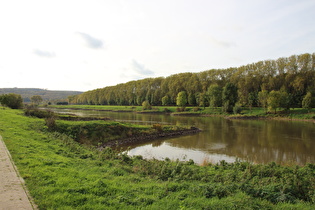 zwischen Fähranleger Grohnde und Hajen, Weser mit Buhnen an beiden Flussseiten …