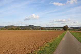 zwischen Fähranleger Grave und Heidbrink, Blick auf die Rühler Schweiz …