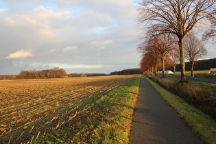 östlich von Lenthe, Blick nach Osten …