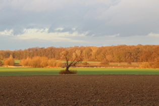 Zoom auf das Velberholz