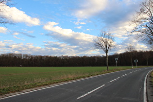 nördlich von Königseiche, Blick nach Südosten auf das Große Holz …