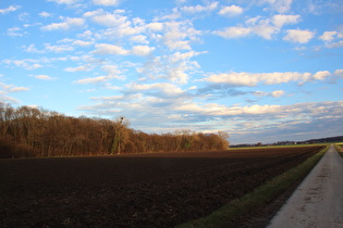 … und Blick auf das Große Holz und Lenthe