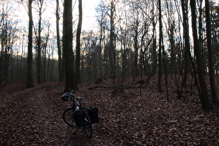 "Dach der Tour" auf dem Benther Berg