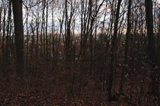 Blick vom Benther Berg auf Benthe