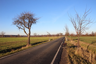 zwischen Ditterke und Großem Holz, Blick nach Norden