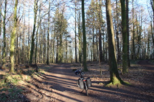 Benther Berg, Kamm, Blick nach Osten