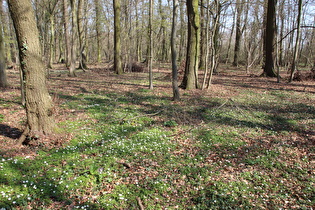 … und Blick nach Osten