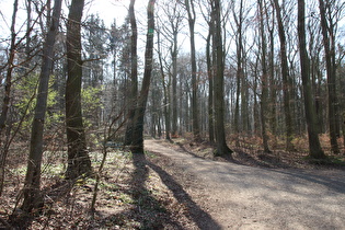 Benther Berg, Nordhang, erster Anstieg der Tour