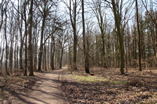 Benther Berg, Kammweg, Blick nach Süden, …