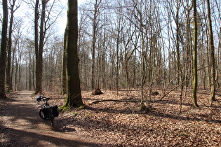 erster Sattelpunkt der Tour auf dem Benther Berg