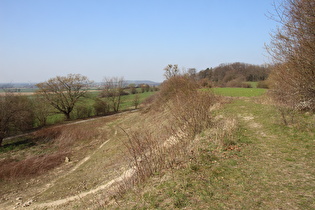 Blick zum Stemmer Berg