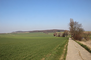 östlich von Degersen, Blick zum Gehrdener Berg …