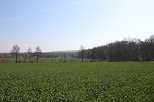 westlich von Wennigsen, Blick auf Waldkater