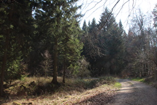 Blick bergauf auf die erste Kehre in diesem Jahr …