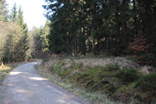 weiter oben endlich Wald, der Berggefühl vermittelt