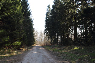 Blick nach Süden zum Kammweg