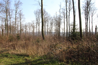 Blick vom Kammweg nach Südwesten