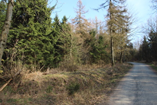 Kammweg zwischen Bröhn und Stern, Blick nach Südosten