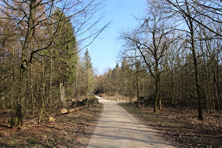 Kammweg zwischen Stern und Höfeler, Blick zum Stern …