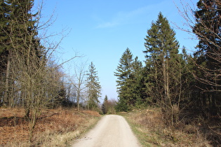 Hohe Warte, Blick nach Nordosten