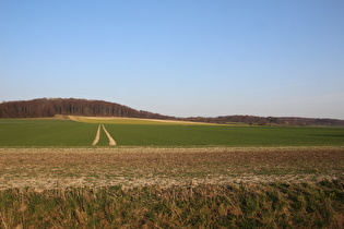 zwischen Redderse und Ditterke, Blick zum Gehrdener Berg …