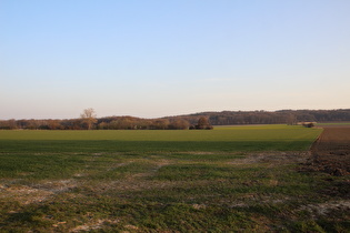 zwischen Lenthe und Velber, Blick auf Velberholz und Benther Berg