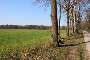 … und Blick nach Nordwesten