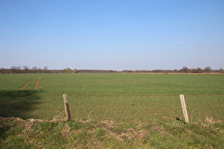 Agrarsteppe östlich von Hainhaus, Blick nach Norden …