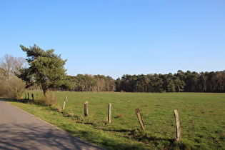 etwas weiter, Blick nach Südosten