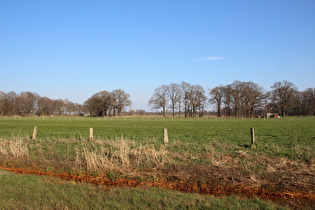 südlich von Stelingen, Blick über den Scheidegraben nach Osten …