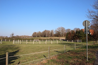 >westlich des Stelinger Berges, Blick zum Berg