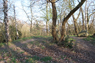 Blick auf den Gipfel des Stelinger Berges