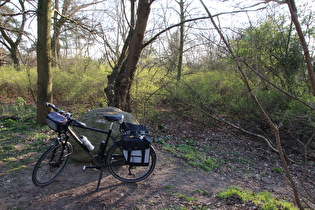 Stelinger Berg, Gipfel