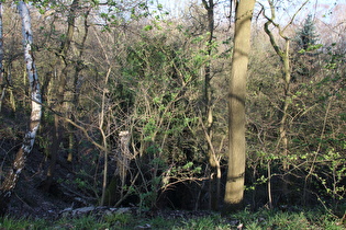 Blick vom Gipfel nach Osten in eine Senke