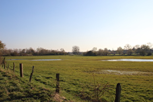 Leinemasch zwischen Hannover-Stöcken und Letter, Blick nach Süden