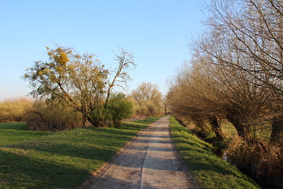 Leinemasch zwischen Lette rund Hannover-Ahlem, Blick nach Süden