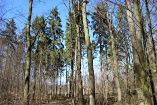 … und Blick nach Nordwesten